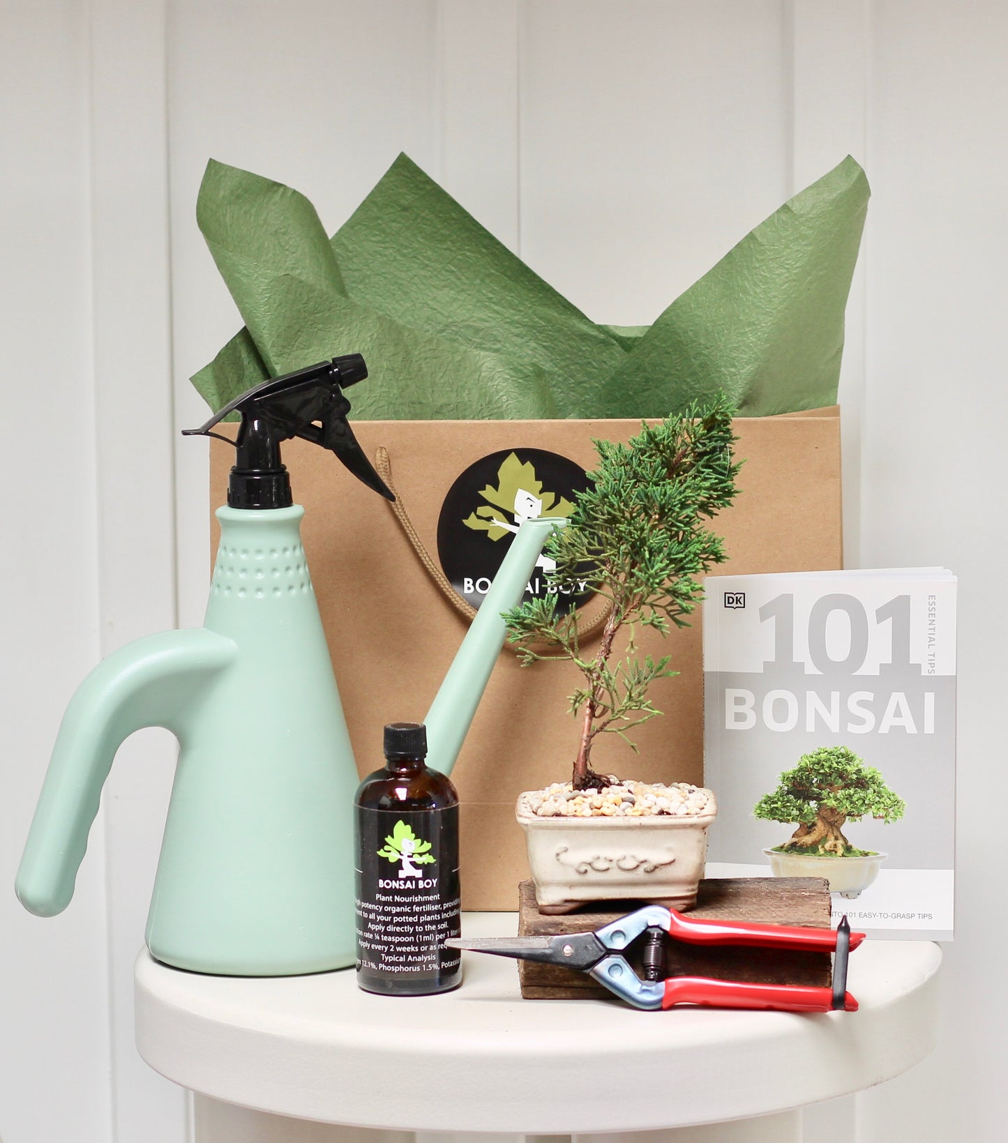 Bonsai Starter Kit - ジュニパー Dallas - 23cm