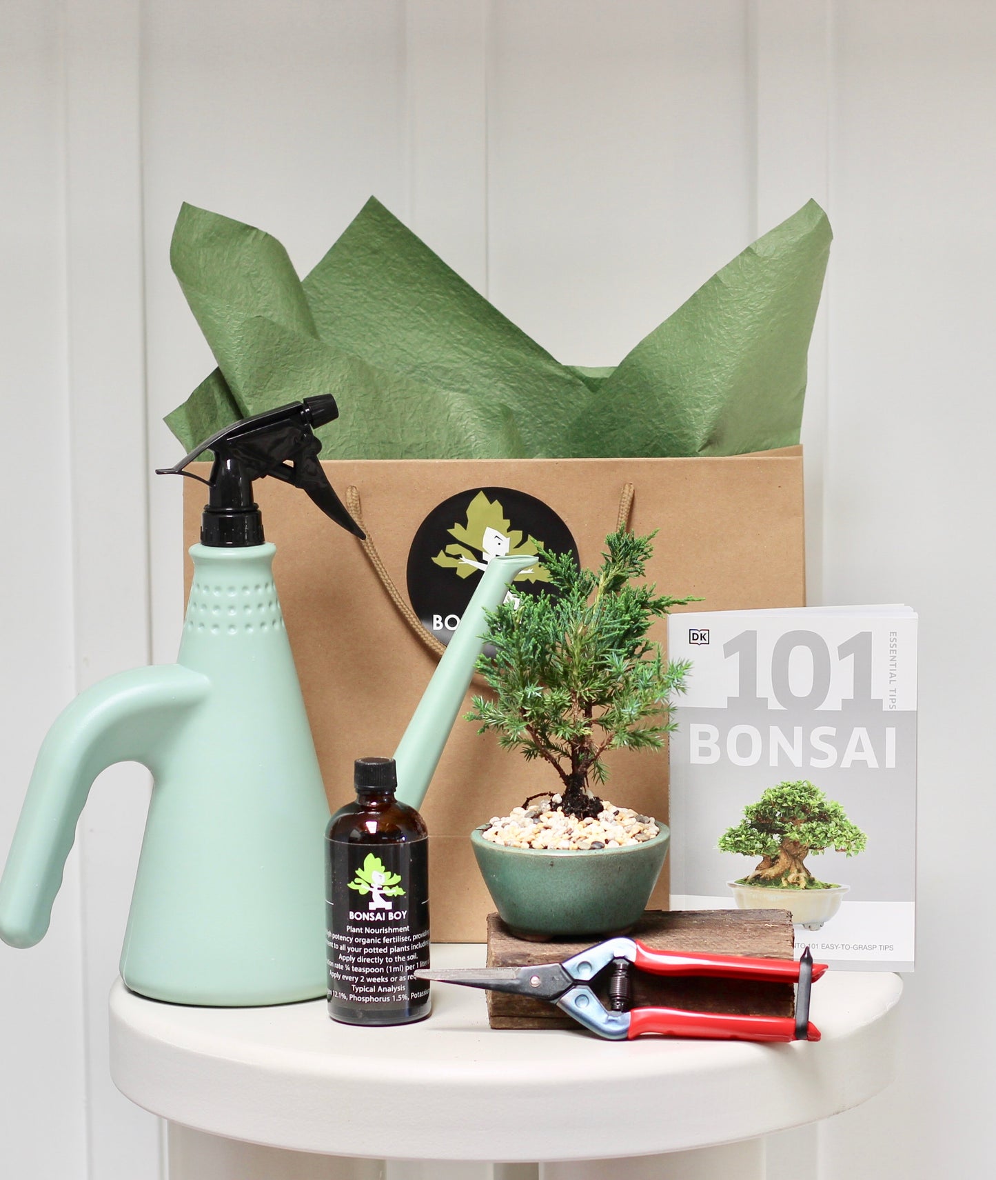 Bonsai Starter Kit - ジュニパー Wesley - 23cm