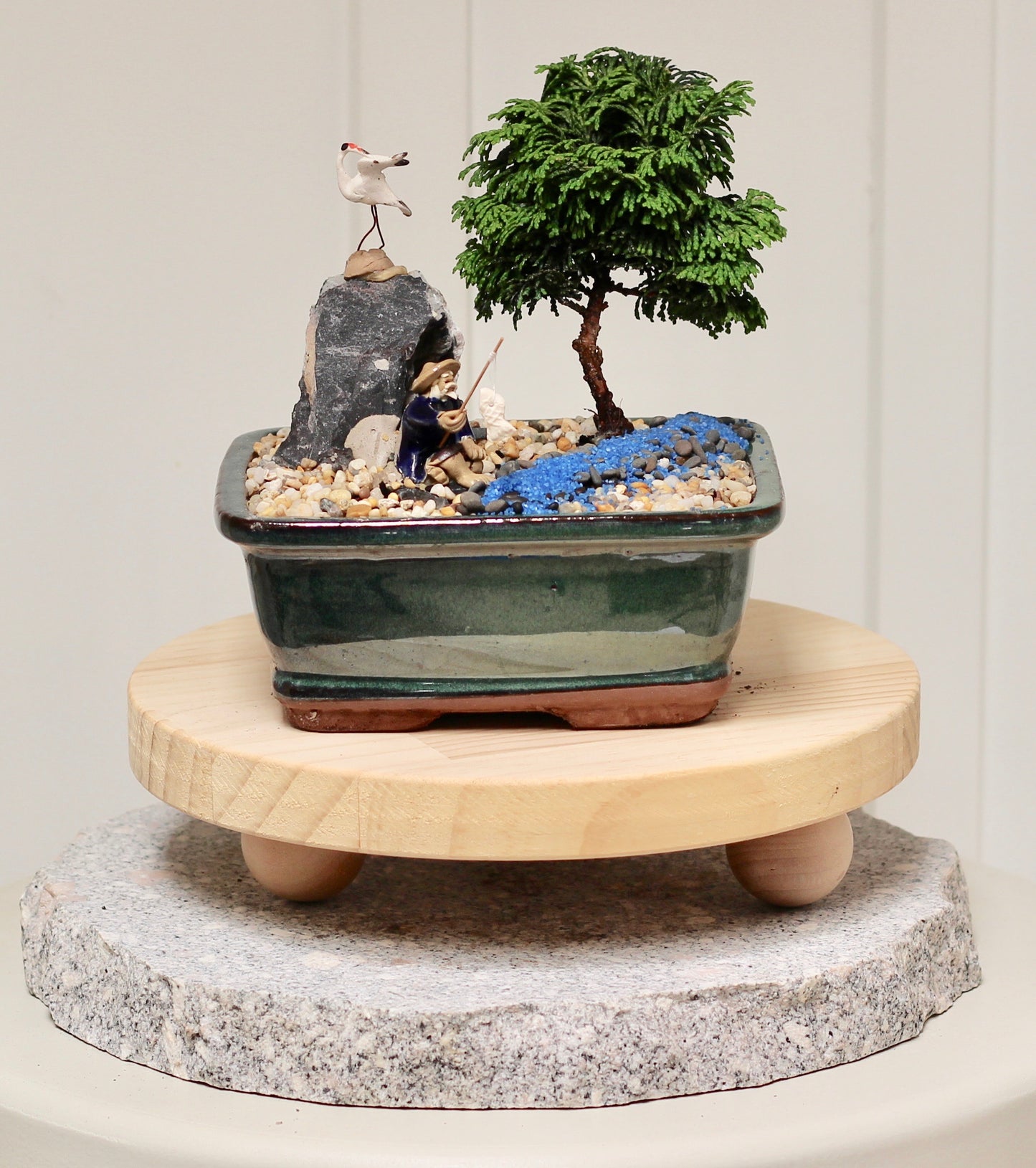 Bonsai - Juniper with Fisherman Setting- Dario - 16cm