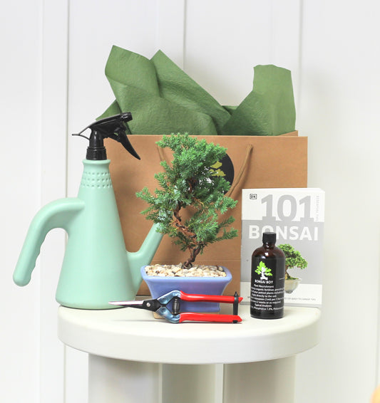 Bonsai Starter Kit - Rio - 24cm