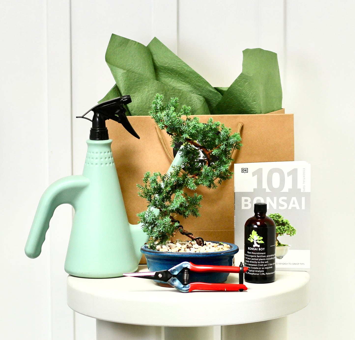 Bonsai Starter Kit - Rooke - 30cm