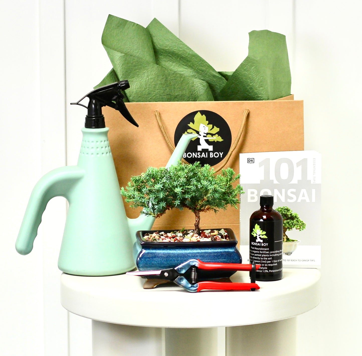 Bonsai Starter Kit - Tyler - 19cm