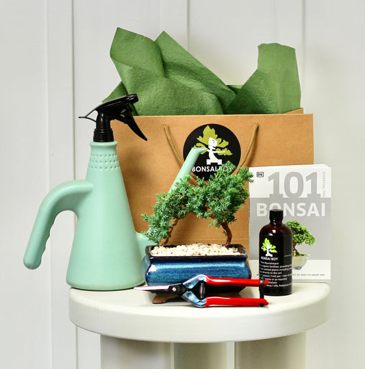 Bonsai Starter Kit - Fleur- 19cm