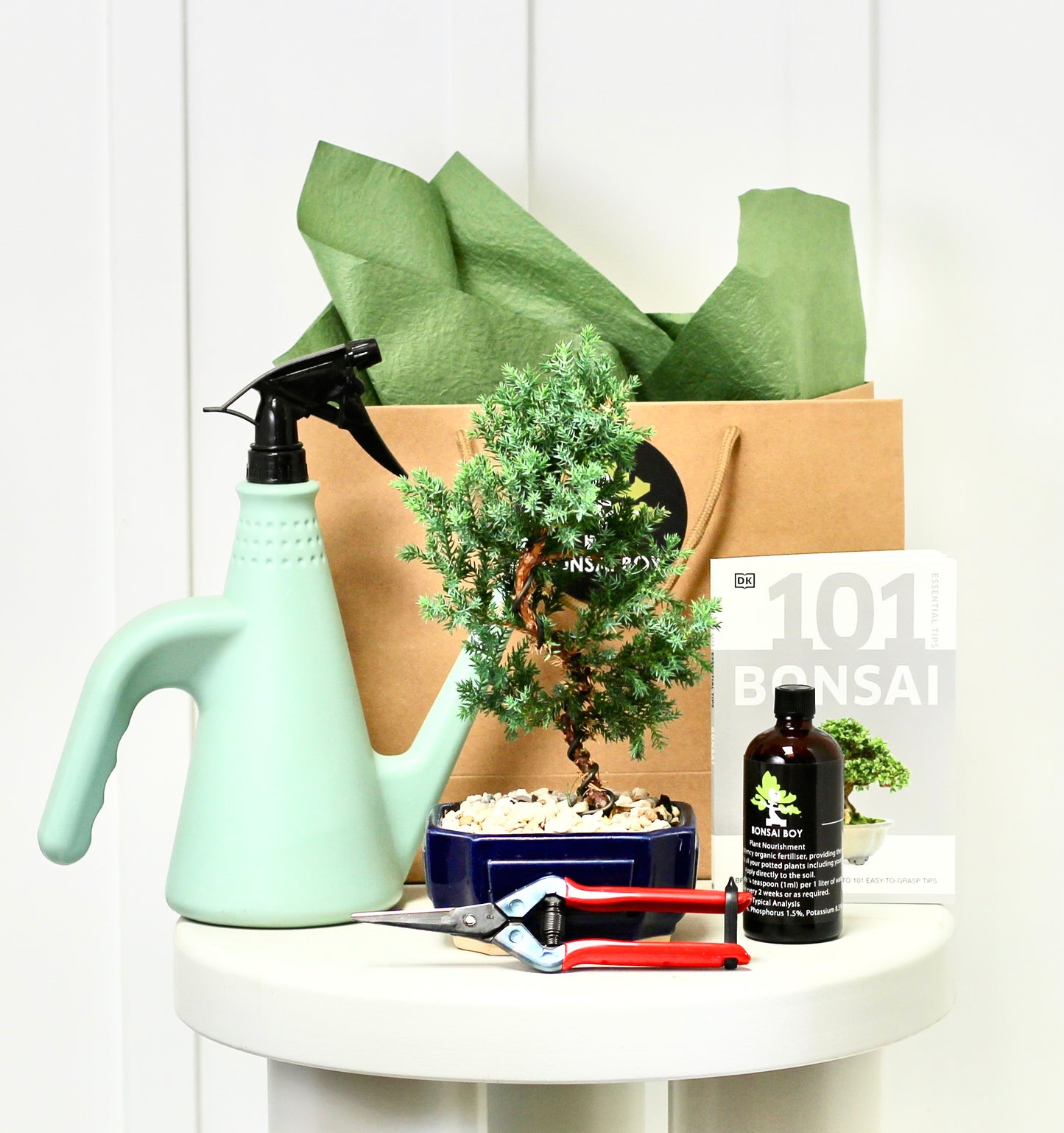 Bonsai Starter Kit - Kat - 22cm