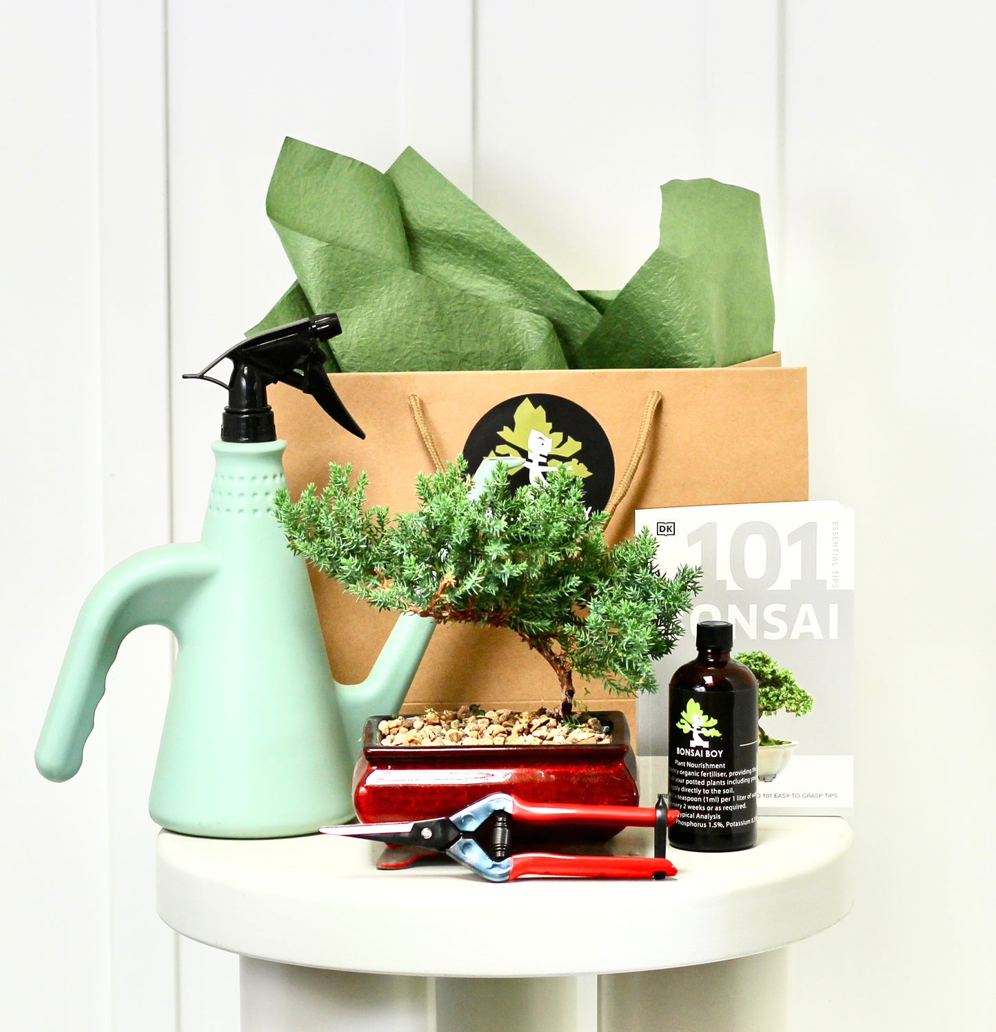 Bonsai Starter Kit - Eliza - 20cm