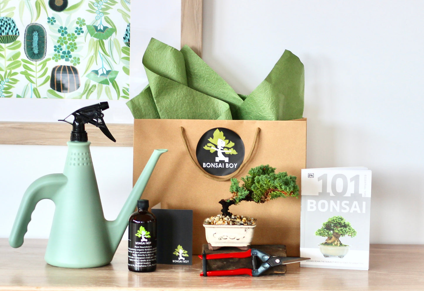 Bonsai Starter Kit - Diago - 20cm