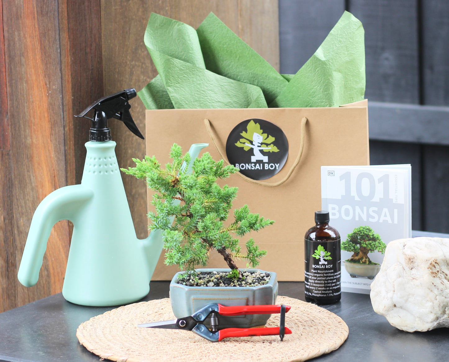 Bonsai Starter Kit - Wesley - 20cm
