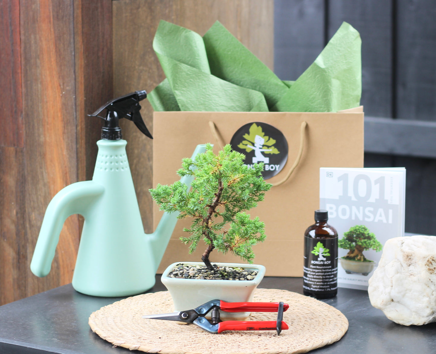 Bonsai Starter Kit - Sunny - 20cm