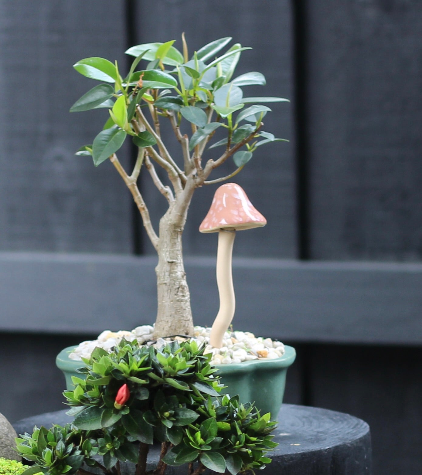Porcelain Mushroom