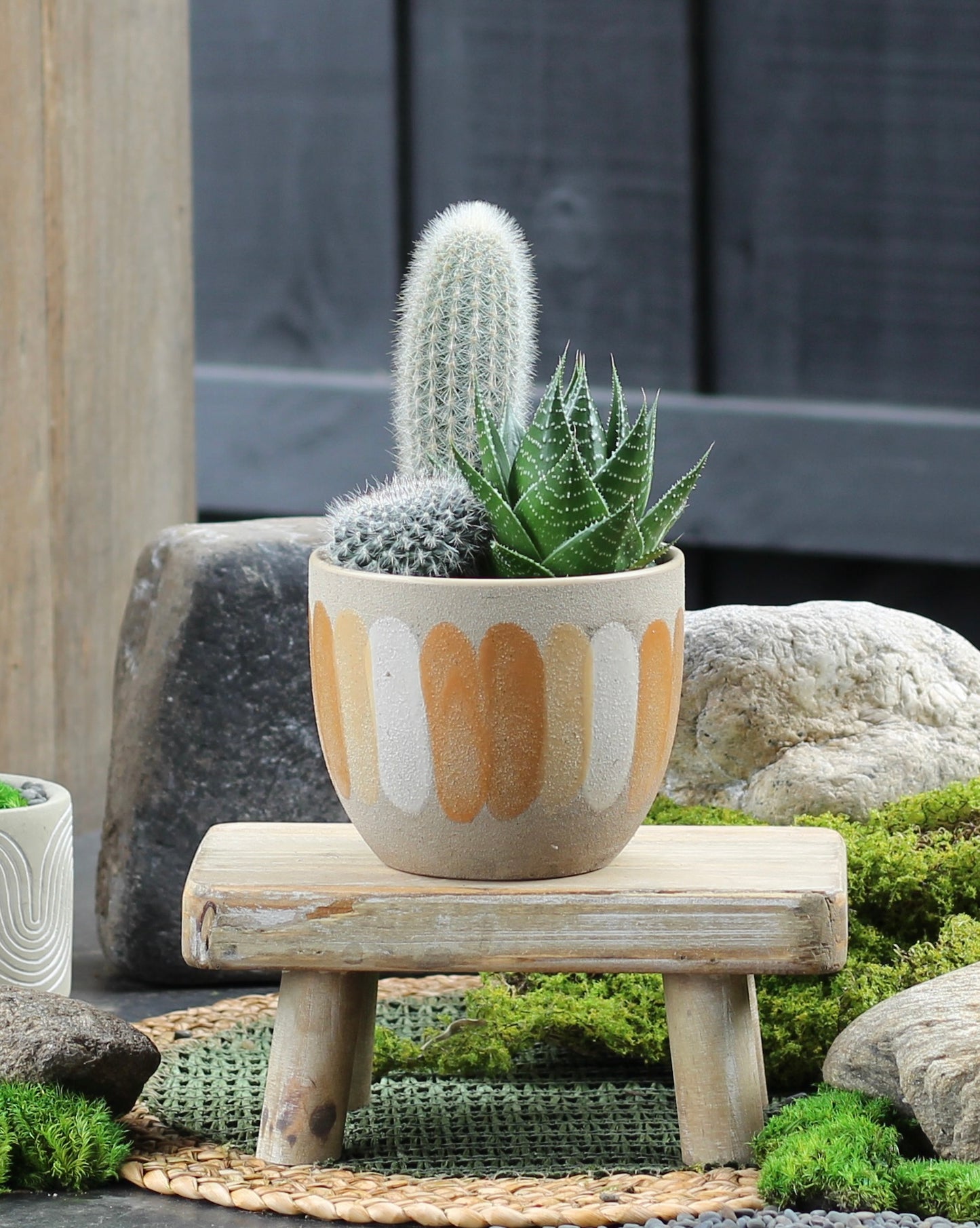Cactus Vessel