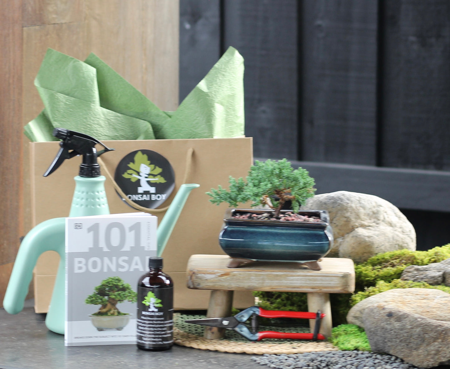 Bonsai Starter Kit - Juniper - Hanna - 24cm