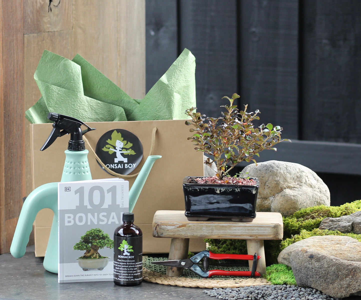 Bonsai Starter Kit - Coprosma - Connor - 24cm