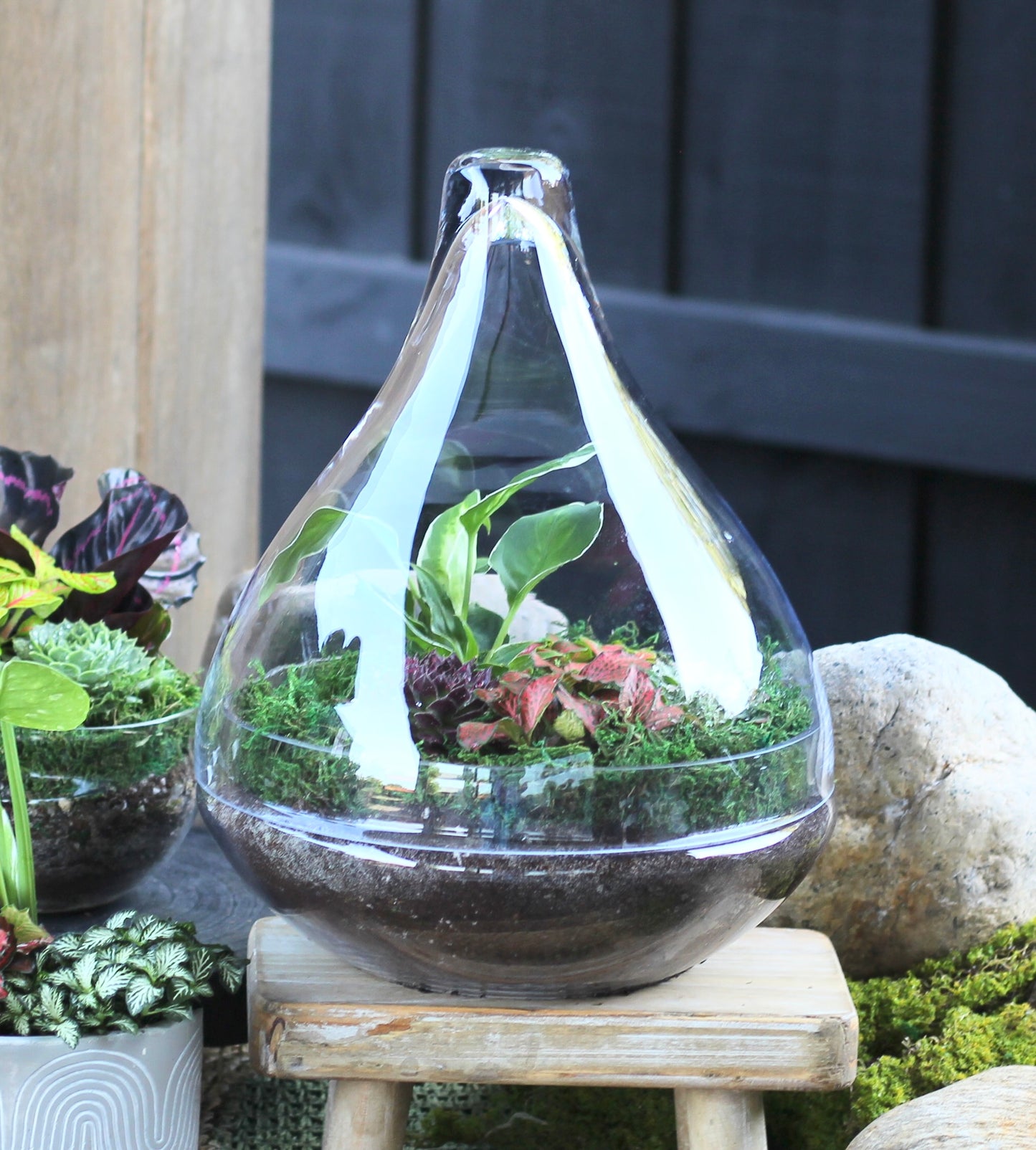 Colour Burst Terrarium - Teardrop - LARGE - 30cm