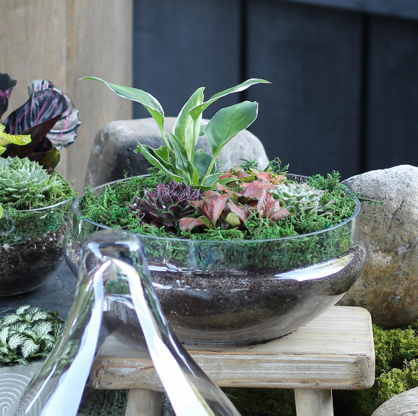 Colour Burst Terrarium - Teardrop - LARGE - 30cm