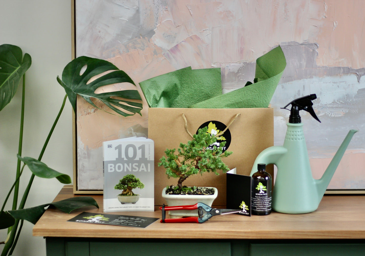 Bonsai Starter Kit - Juniper - Noodle - 26cm