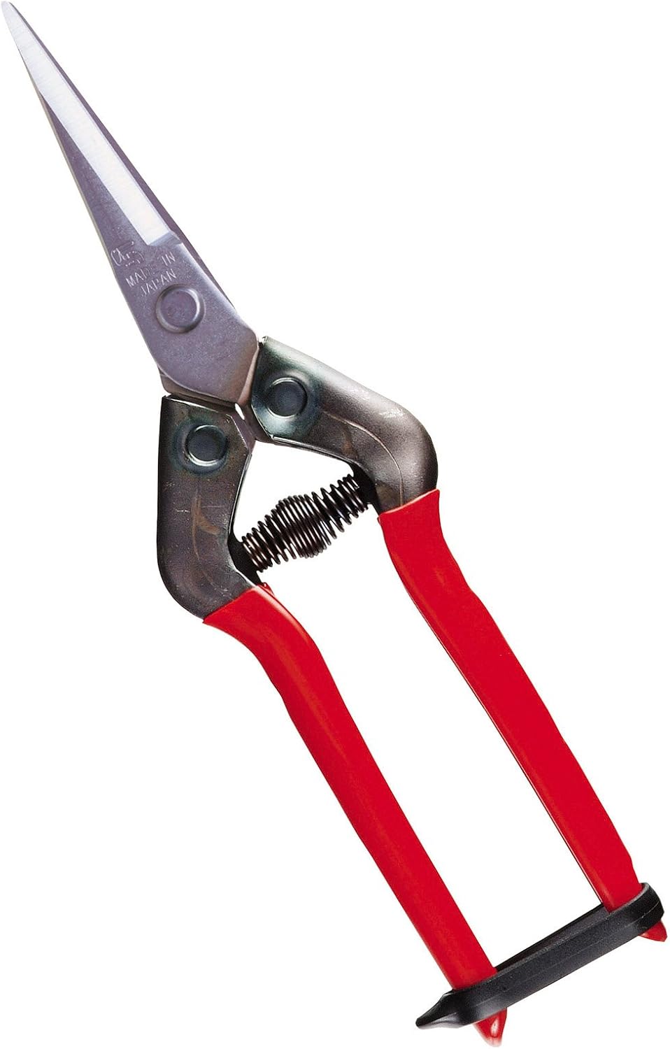 Chikamasan Shears