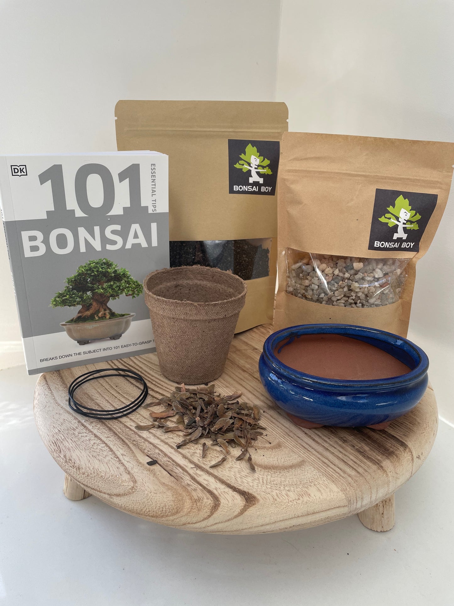 Bonsai Grow Kit - Drooping Sheoak